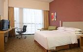 Туры в отель Holiday Inn Express Meilong