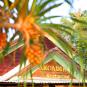 Туры в отель Arcadia Phu Quoc Resort, оператор Anex Tour