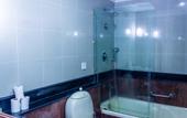 Туры в отель KTDC Mascot Hotel