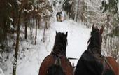 Туры в отель Mazuria