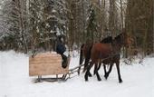 Туры в отель Mazuria