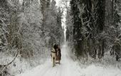 Туры в отель Mazuria
