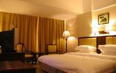 Туры в отель Joyfull International Hotel