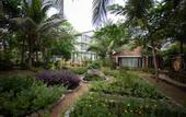 Туры в отель Fiore Healthy Resort