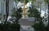 Туры в отель My Hotel Garden Beach