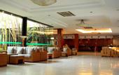 Туры в отель Thang Loi Hotel