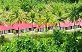 Туры в отель Wellesley Resort