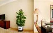 Туры в отель Baihuan Hotel