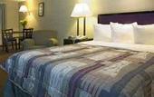 Туры в отель Carlton Inn Midway