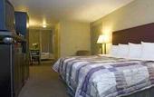 Туры в отель Carlton Inn Midway