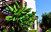 Туры в отель Butik Han Hotel