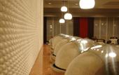 Туры в отель Euro Park Hotel Bursa