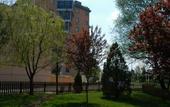 Туры в отель Euro Park Hotel Bursa