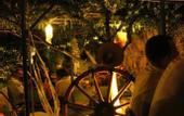 Туры в отель Delfini Hotel
