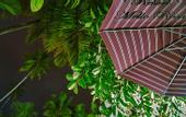 Туры в отель Mello Rosa