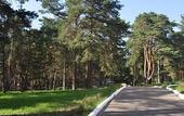Туры в отель Лесная опушка
