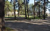 Туры в отель Лесная опушка