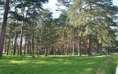 Туры в отель Лесная опушка