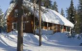 Туры в отель Kukonpesa
