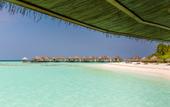 Туры в отель Kihaa Maldives