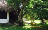 Туры в отель Carnoustie Ayurveda & Wellness Resort