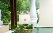 Туры в отель Carnoustie Ayurveda & Wellness Resort