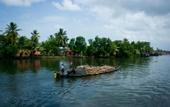 Туры в отель Carnoustie Ayurveda & Wellness Resort