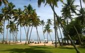 Туры в отель Carnoustie Ayurveda & Wellness Resort