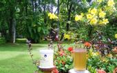 Туры в отель Carnoustie Ayurveda & Wellness Resort