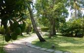 Туры в отель Carnoustie Ayurveda & Wellness Resort