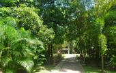 Туры в отель Carnoustie Ayurveda & Wellness Resort