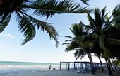 Туры в отель Memories Caribe Beach Resort (Adults Only)