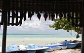 Туры в отель Memories Caribe Beach Resort (Adults Only)