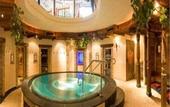 Туры в отель Alpenhotel Tirolerhof