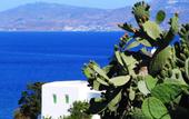 Туры в отель Boheme Mykonos Town