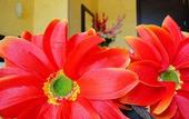 Туры в отель Memole Inn Sanremo