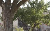 Туры в отель Buket Cave Hotel