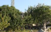 Туры в отель Buket Cave Hotel