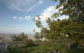 Туры в отель Buket Cave Hotel