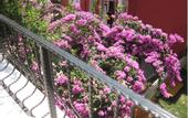 Туры в отель Kumsal Butik Hotel