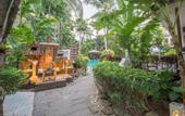Туры в отель The Viridian Resort