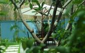 Туры в отель Frangipani Villa Hotel