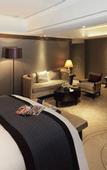 Туры в отель Grand Mercure Shanghai Zhongya