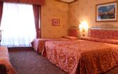 Туры в отель Hotel Venezia