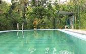 Туры в отель Plantation Villa