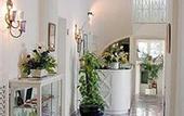Туры в отель Casa Caprile