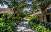 Туры в отель The Cliff Resort & Residences