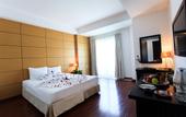 Туры в отель Paragon Villa Hotel