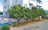 Туры в отель Maouris Hotel Apartments