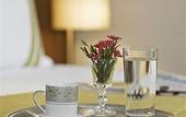 Туры в отель Senator Hotel Taksim